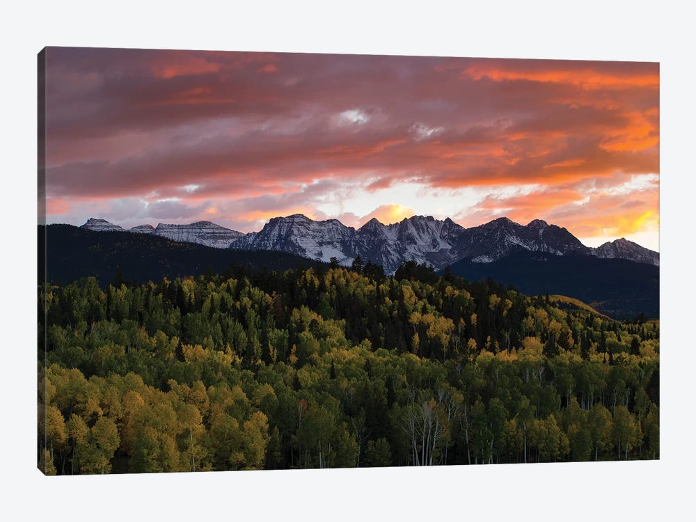 Trees With Mountain Range In The Background At Dusk, Aspen, Pitkin County, Colorado, USA I by Panoramic Images 1-piece Canvas Art