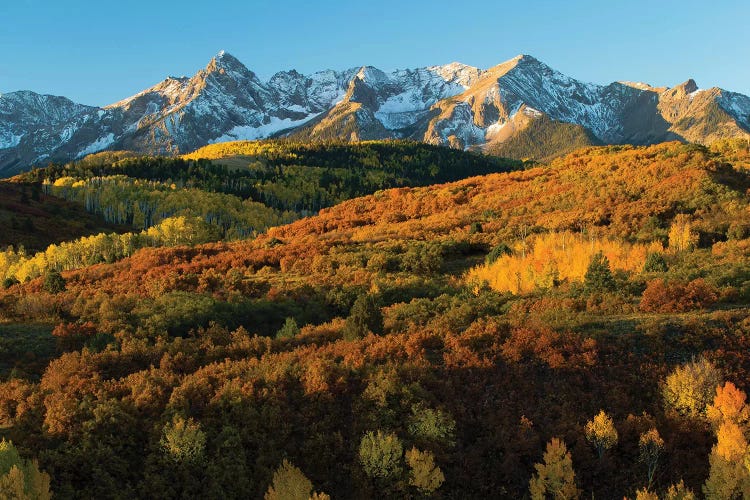 Trees With Mountain Range In The Background At Dusk, Aspen, Pitkin County, Colorado, USA II