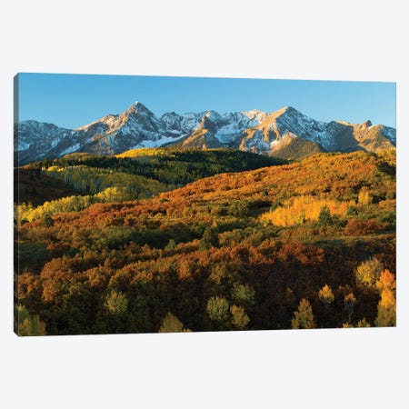 Trees With Mountain Range In The Background At Dusk, Aspen, Pitkin County, Colorado, USA II Canvas Print #PIM14978} by Panoramic Images Canvas Print