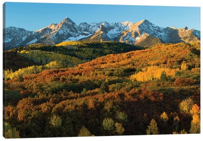 Trees With Mountain Range In The Background At Dusk, Aspen, Pitkin County, Colorado, USA II Canvas Art Print