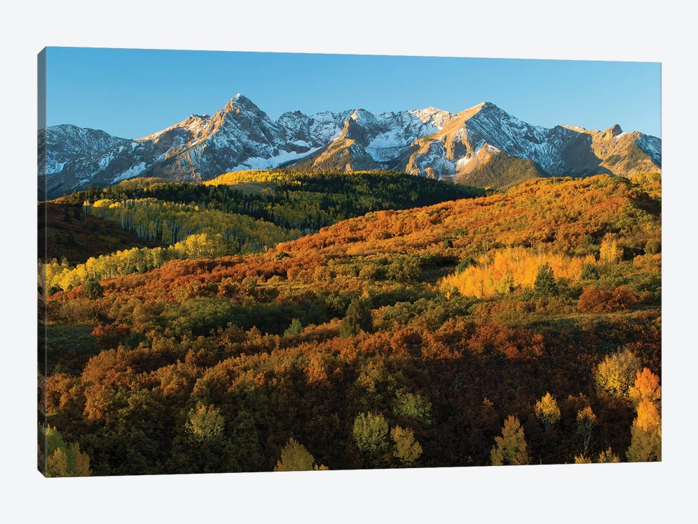 Trees With Mountain Range In The Background At Dusk, Aspen, Pitkin County, Colorado, USA II by Panoramic Images 1-piece Art Print