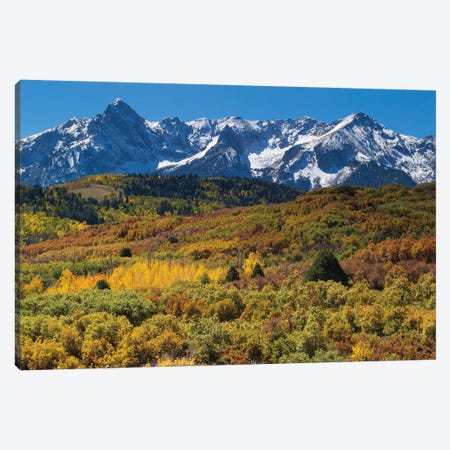 Trees With Mountain Range In The Background, Aspen, Pitkin County, Colorado, USA I Canvas Print #PIM14979} by Panoramic Images Canvas Art Print