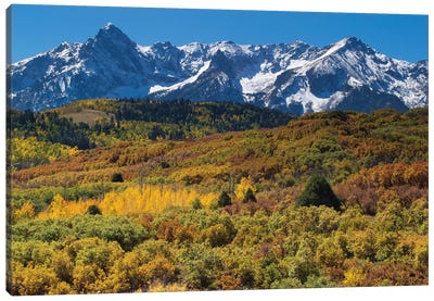 Trees With Mountain Range In The Background, Aspen, Pitkin County, Colorado, USA I Canvas Art Print