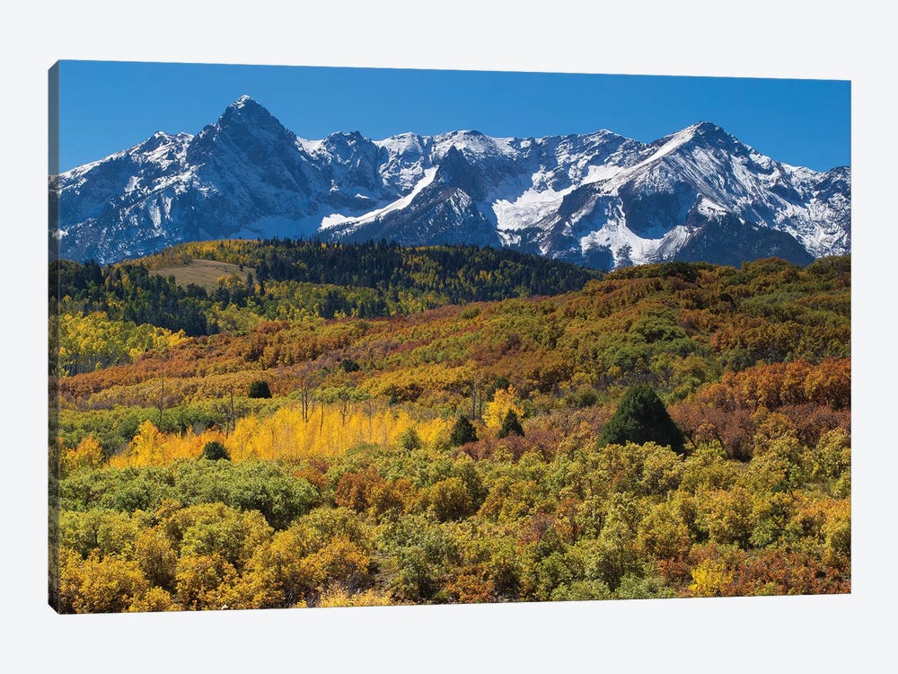 Trees With Mountain Range In The Background, Aspen, Pitkin County, Colorado, USA I 1-piece Canvas Wall Art