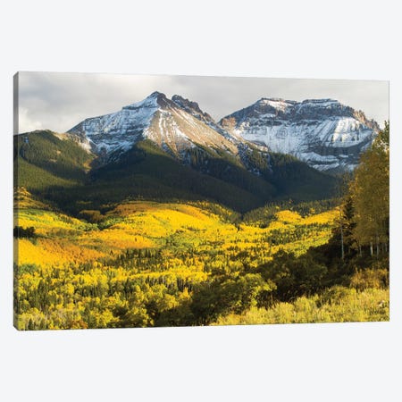Trees With Mountain Range In The Background, Aspen, Pitkin County, Colorado, USA II Canvas Print #PIM14980} by Panoramic Images Canvas Artwork