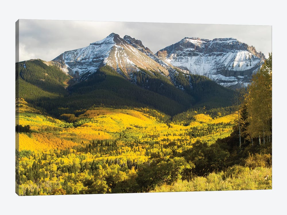 Trees With Mountain Range In The Background, Aspen, Pitkin County, Colorado, USA II 1-piece Canvas Artwork
