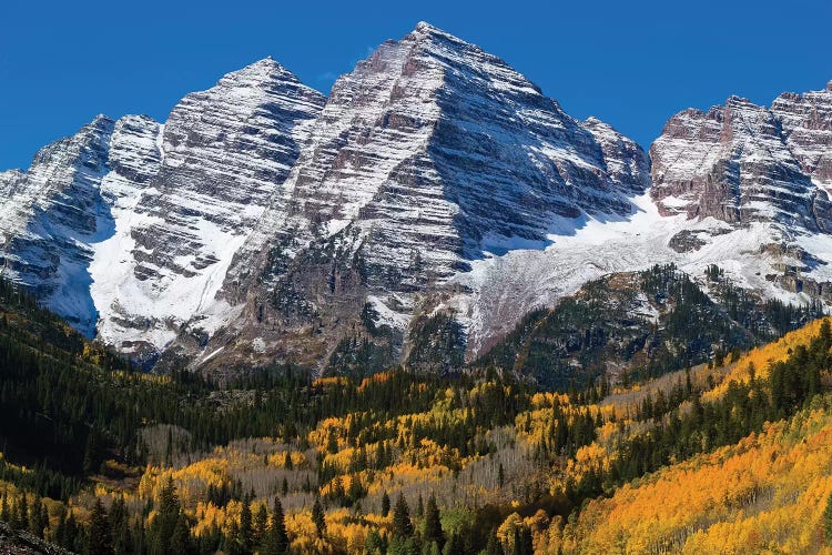 Trees With Mountain Range In The Background, Maroon Bells, Maroon Creek Valley, Aspen, Colorado, USA