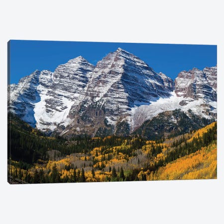 Trees With Mountain Range In The Background, Maroon Bells, Maroon Creek Valley, Aspen, Colorado, USA Canvas Print #PIM14982} by Panoramic Images Canvas Wall Art