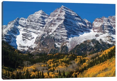 Trees With Mountain Range In The Background, Maroon Bells, Maroon Creek Valley, Aspen, Colorado, USA Canvas Art Print