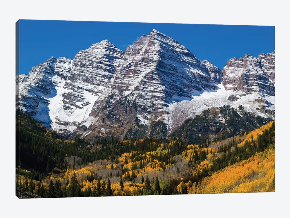 Trees With Mountain Range In The Background, Maroon Bells, Maroon Creek Valley, Aspen, Colorado, USA 1-piece Canvas Art