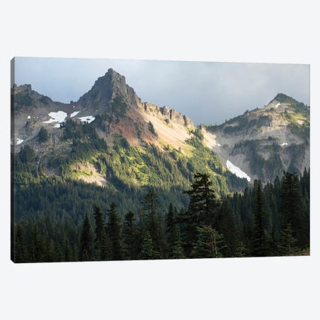 Trees With Mountain Range In The Background, Mount Rainier National Park, Washington State, USA Canvas Print #PIM14983} by Panoramic Images Canvas Wall Art