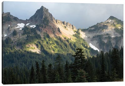 Trees With Mountain Range In The Background, Mount Rainier National Park, Washington State, USA Canvas Art Print - Mount Rainier