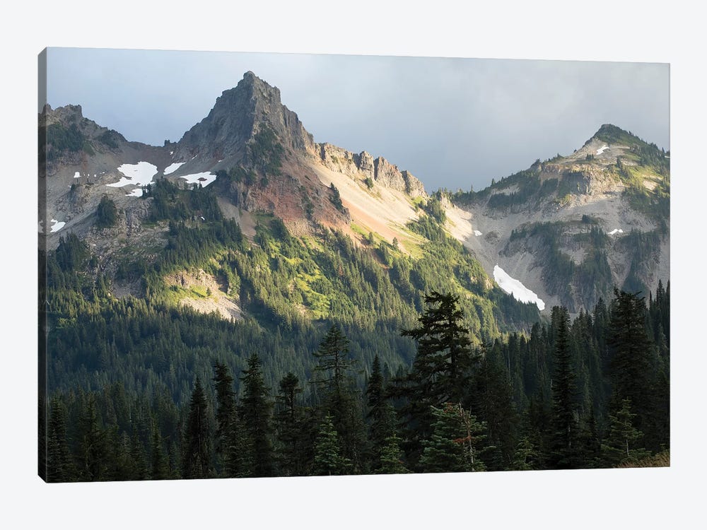 Trees With Mountain Range In The Background, Mount Rainier National Park, Washington State, USA by Panoramic Images 1-piece Canvas Print