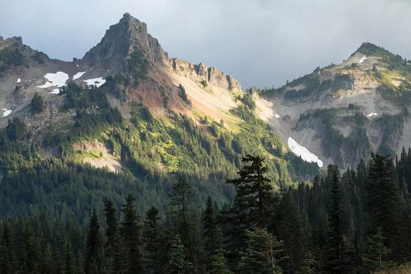 Washington: Trees With Mountain Range In The Background, Mount Rainier National Park, Washington State, USA by Panoramic Images