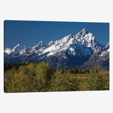 Trees With Mountain Range In The Background, Teton Range, Grand Teton National Park, Wyoming, USA Canvas Print #PIM14984} by Panoramic Images Canvas Print