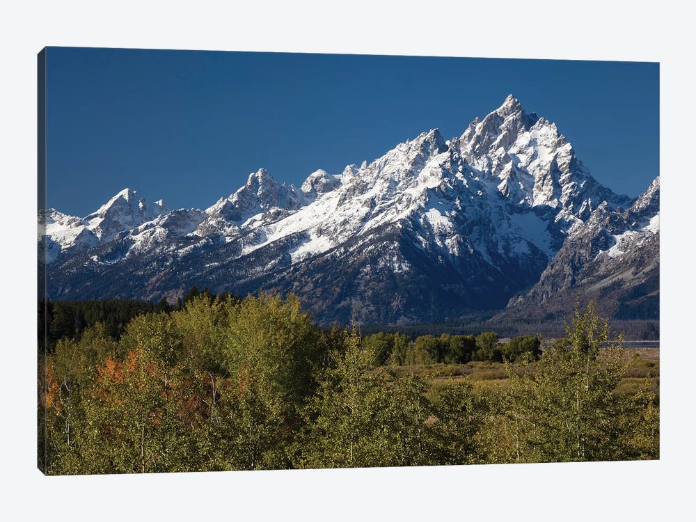 Trees With Mountain Range In The Background, Teton Range, Grand Teton National Park, Wyoming, USA by Panoramic Images 1-piece Canvas Art