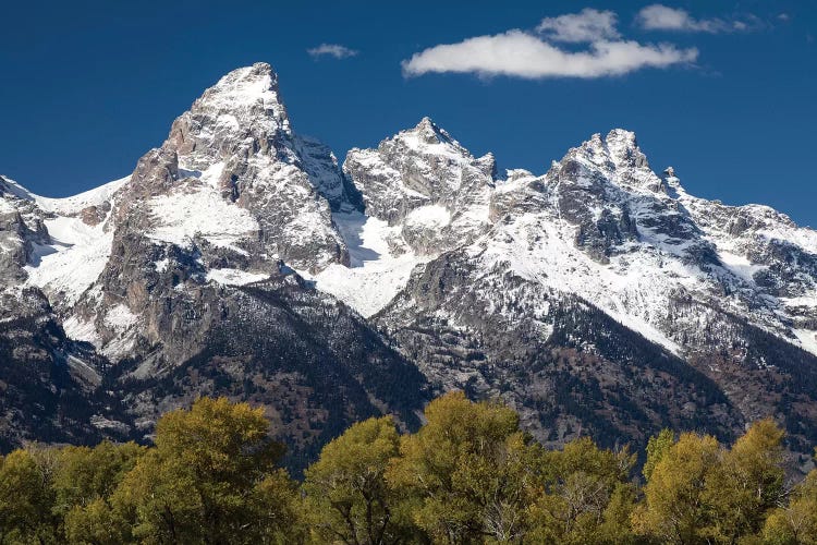 Trees With Mountain Range In The Background, Teton Range, Grand Teton National Park, Wyoming, USA I