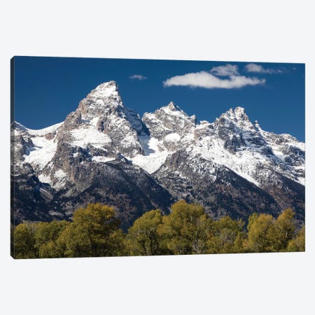 Trees With Mountain Range In The Background, Teton Range, Grand Teton National Park, Wyoming, USA I Canvas Print #PIM14985} by Panoramic Images Canvas Art Print