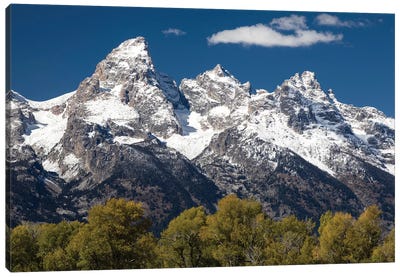 Trees With Mountain Range In The Background, Teton Range, Grand Teton National Park, Wyoming, USA I Canvas Art Print - Traveler