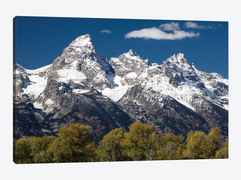Trees With Mountain Range In The Background, Teton Range, Grand Teton National Park, Wyoming, USA I by Panoramic Images 1-piece Canvas Print