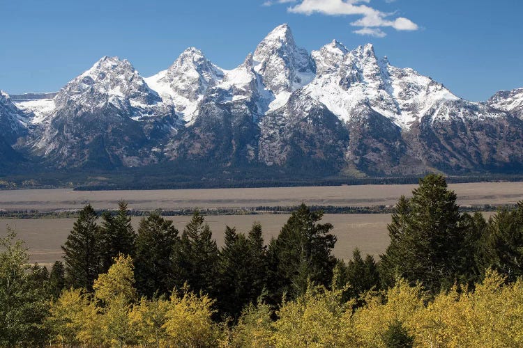 Trees With Mountain Range In The Background, Teton Range, Grand Teton National Park, Wyoming, USA II