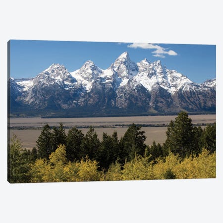 Trees With Mountain Range In The Background, Teton Range, Grand Teton National Park, Wyoming, USA II Canvas Print #PIM14986} by Panoramic Images Art Print