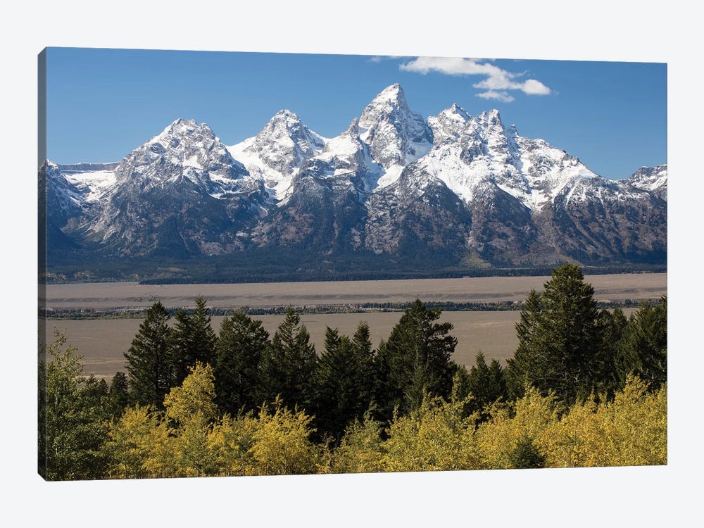 Trees With Mountain Range In The Background, Teton Range, Grand Teton National Park, Wyoming, USA II by Panoramic Images 1-piece Canvas Wall Art