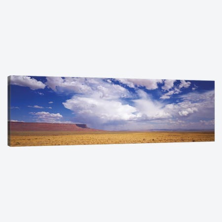 Vermilion Cliffs, Arizona, USA Canvas Print #PIM14991} by Panoramic Images Canvas Art Print