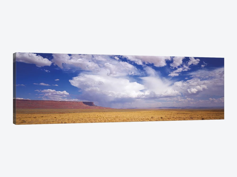 Vermilion Cliffs, Arizona, USA by Panoramic Images 1-piece Canvas Wall Art