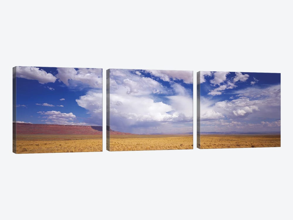 Vermilion Cliffs, Arizona, USA by Panoramic Images 3-piece Canvas Artwork