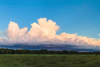 View Of Clouds In The Sky, Florida, USA by Panoramic Images gallery poster