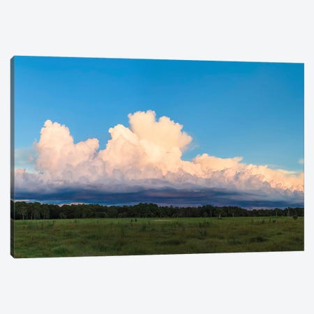 View Of Clouds In The Sky, Florida, USA Canvas Print #PIM14993} by Panoramic Images Canvas Art Print