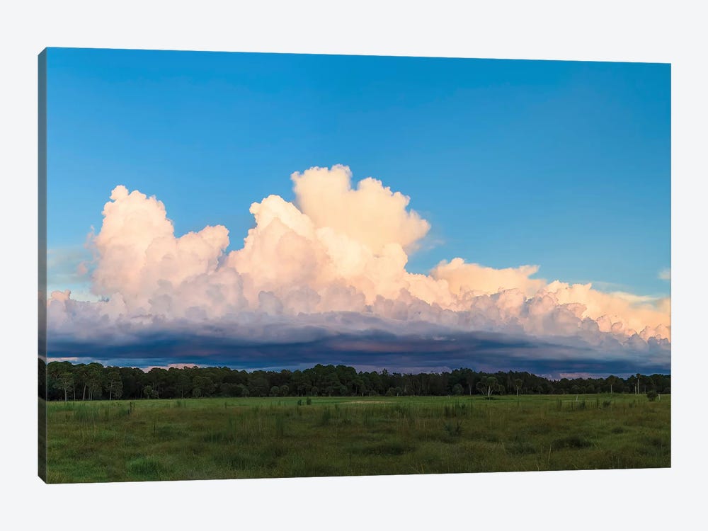 View Of Clouds In The Sky, Florida, USA by Panoramic Images 1-piece Canvas Wall Art