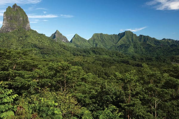 Moss: View Of Mountain Peaks, Moorea, Tahiti, French Polynesia I by Panoramic Images