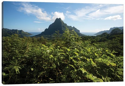 View Of Mountain Peaks, Moorea, Tahiti, French Polynesia II Canvas Art Print - French Polynesia Art