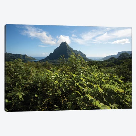 View Of Mountain Peaks, Moorea, Tahiti, French Polynesia II Canvas Print #PIM15002} by Panoramic Images Canvas Wall Art