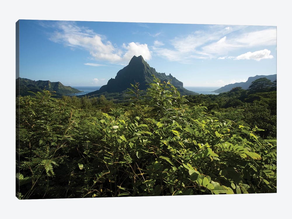 View Of Mountain Peaks, Moorea, Tahiti, French Polynesia II by Panoramic Images 1-piece Canvas Artwork
