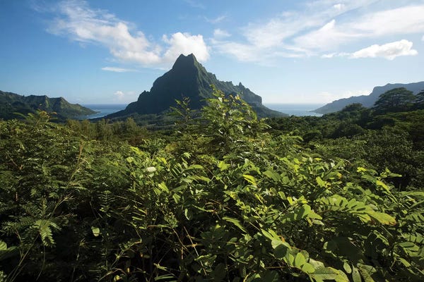 Society Islands: View Of Mountain Peaks, Moorea, Tahiti, French Polynesia II by Panoramic Images