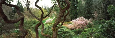 Washington Park, Seattle, Washington State, USA I by Panoramic Images multi panel art