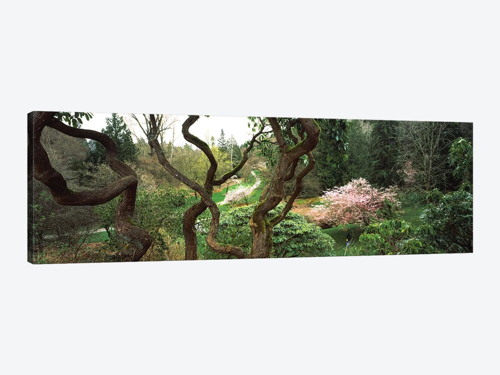 Washington Park, Seattle, Washington State, USA I by Panoramic Images 1-piece Canvas Art