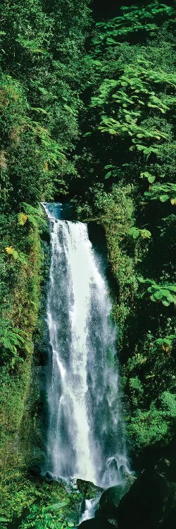 Waterfall In A Forest, Mother Falls, Trafalgar Falls, Dominica, Caribbean