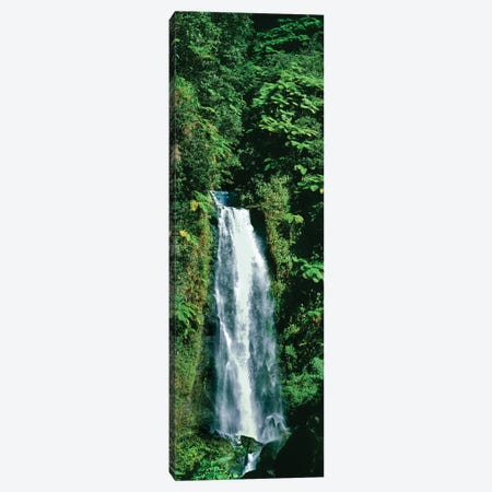 Waterfall In A Forest, Mother Falls, Trafalgar Falls, Dominica, Caribbean Canvas Print #PIM15021} by Panoramic Images Canvas Wall Art