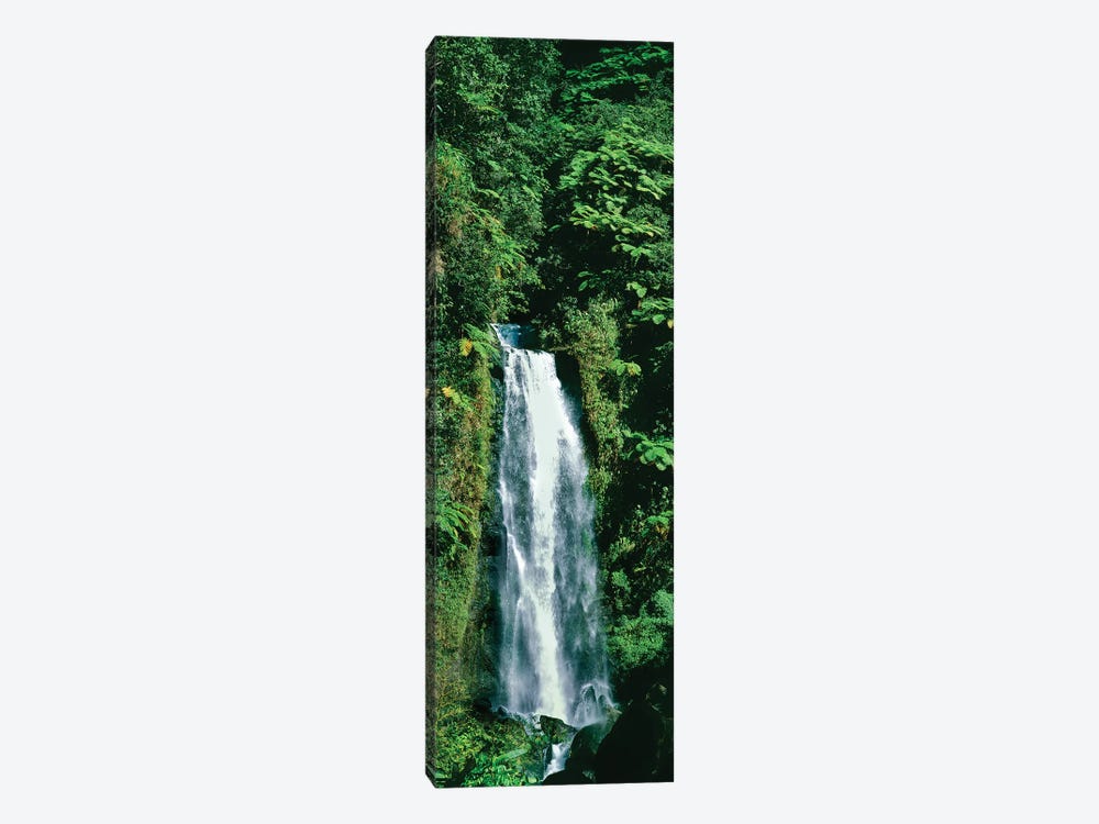 Waterfall In A Forest, Mother Falls, Trafalgar Falls, Dominica, Caribbean by Panoramic Images 1-piece Canvas Art Print