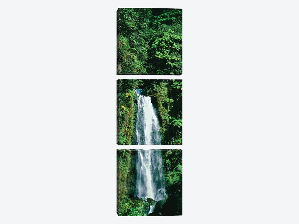Waterfall In A Forest, Mother Falls, Trafalgar Falls, Dominica, Caribbean by Panoramic Images 3-piece Canvas Print