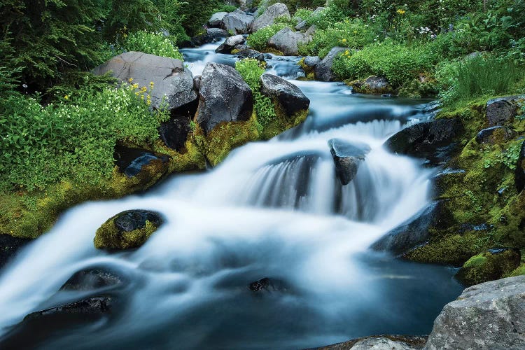 Waterfall In A Forest, Mount Rainier National Park, Washington State, USA