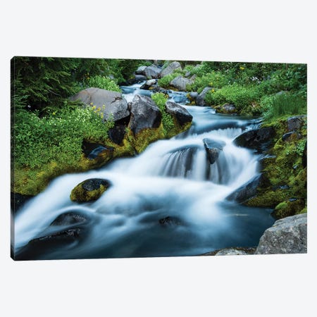 Waterfall In A Forest, Mount Rainier National Park, Washington State, USA Canvas Print #PIM15022} by Panoramic Images Canvas Wall Art