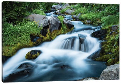 Waterfall In A Forest, Mount Rainier National Park, Washington State, USA Canvas Art Print - Mount Rainier National Park Art