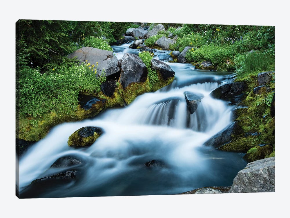 Waterfall In A Forest, Mount Rainier National Park, Washington State, USA by Panoramic Images 1-piece Canvas Wall Art