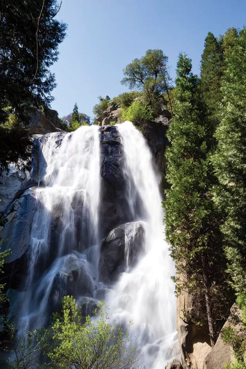 Waterfall In A Forest, Sequoia National Park, California, USA