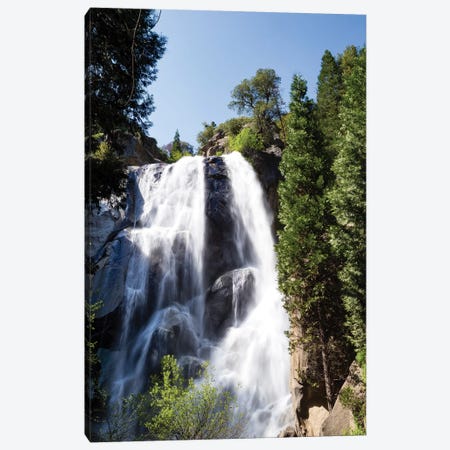 Waterfall In A Forest, Sequoia National Park, California, USA Canvas Print #PIM15023} by Panoramic Images Canvas Artwork